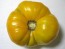 Tomato 'Yellow Brandywine' Plant (4" Pot, single)