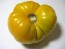 Tomato 'Yellow Brandywine'