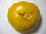 Tomato 'Yellow Brandywine'