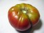 Tomato 'Flathead Monster Pink' Seeds (Certified Organic)