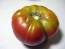 Tomato 'Flathead Monster Pink'