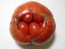 Tomato 'Flathead Monster Pink' Seeds (Certified Organic)