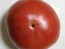 Tomato 'Flathead Monster Pink' Seeds (Certified Organic)