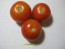 Tomato 'Tomcat F2' Seeds (Certified Organic)