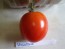 Tomato 'Versalskie' 