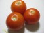 Tomato 'Tomcat F2' Seeds (Certified Organic)