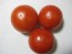 Tomato 'Tomcat F2' Seeds (Certified Organic)