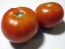 Tomato 'Manitoba'