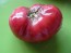 Tomato 'German Johnson' Seeds (Certified Organic)