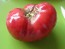 Tomato 'German Johnson' Seeds (Certified Organic)
