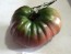 Tomato 'Black Sea Man' Plant