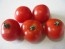 Tomato 'Gardener's Delight' Seeds (Certified Organic)