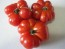 Tomato 'Ceylon' Seeds (Certified Organic)