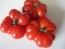Tomato 'Ceylon'