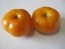 Tomato 'Rumi Banjan'