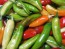 Hot Pepper ‘Fish’ Seeds (Certified Organic)