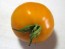 Tomato 'Golden Jubilee' Seeds (Certified Organic)