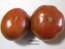 Tomato 'Cherokee Chocolate'