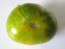 Tomato 'Green Zebra'