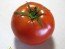 Tomato 'Druzba'