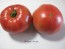 Tomato 'Pruden's Purple'