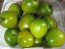 Tomato 'Green Grape' Seeds (Certified Organic)
