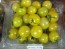 Tomato 'Lemon Drop' Seeds (Certified Organic)