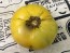 Tomato 'Dagma's Perfection' Seeds (Certified Organic)