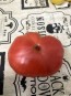 Tomato 'Tobolsk' (Pink Variant) Seeds (Certified Organic)