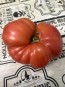 Tomato 'Tobolsk' (Pink Variant) Seeds (Certified Organic)