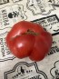 Tomato 'Tobolsk' (Pink Variant) Seeds (Certified Organic)