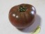 Tomato 'Black From Tula'