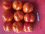 Tomato 'Striped Cavern'