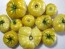 Tomato 'White Tomesol'