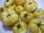 Tomato 'White Tomesol'