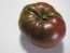 Tomato 'Black Krim'