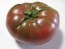 Tomato 'Black Krim'