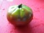 Tomato 'Japanese Black Trifele'