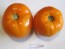 Tomato 'Amish Yellow'