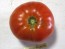 Tomato 'Andrew Rahart's Jumbo Red'