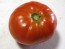 Tomato 'Andrew Rahart's Jumbo Red'