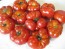 Tomato 'Ceylon' Seeds (Certified Organic)