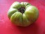 Tomato 'Absinthe' Seeds (Certified Organic)