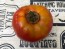 Tomato 'Nepal' Seeds (Certified Organic)