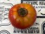 Tomato 'Nepal' Seeds (Certified Organic)