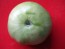 Tomato 'Green Giant' Seeds (Certified Organic)