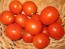 Tomato 'Apollo' Seeds (Certified Organic)