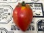 Tomato 'New Zealand Pink Paste' Seeds (Certified Organic)