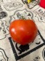 Tomato 'Debut F2' Seeds (Certified Organic)
