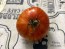 Tomato 'Aviuri' Seeds (Certified Organic)